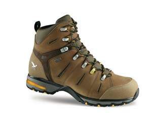    Salewa HAWK GTX  Salewa